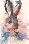 Neskowin Hare